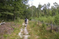 Wandelen rond Hoenderloo