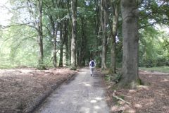 Wandelen rond Hoenderloo