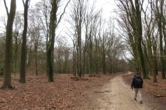 Wandelen rond Hoog Soeren