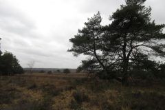 Wandelen rond Hoog Soeren