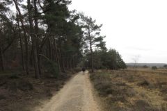 Wandelen rond Hoog Soeren