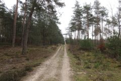 Wandelen rond Hoog Soeren