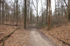 Wandelen rond Hoog Soeren