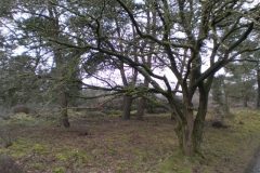 Wandelen rond Kloosterhaar
