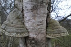 Wandelen rond Kloosterhaar