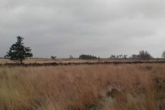 Wandelen rond Kloosterhaar
