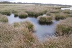 Wandelen rond Kloosterhaar