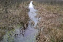 Wandelen rond Kloosterhaar