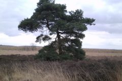 Wandelen rond Kloosterhaar