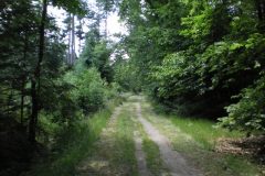 Wandelen rond Leende