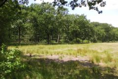 Wandelen rond Leende