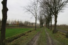 Wandelen rond De Liempde
