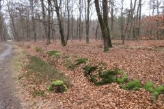 Wandelen rond Lonneker