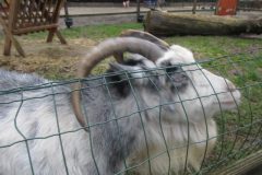 Wandelen rond Lonneker