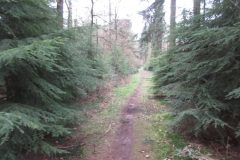 Wandelen rond Lonneker