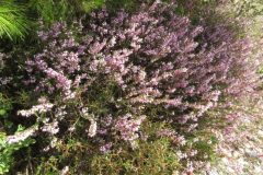 Wandelen rond Loucha