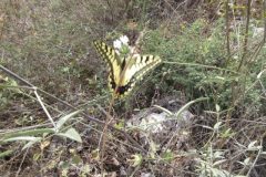 Wandelen rond Loucha
