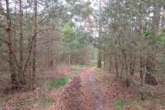 Wandelen rond Maarheeze