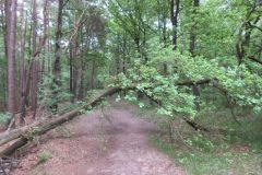 Wandelen rond Maarheeze