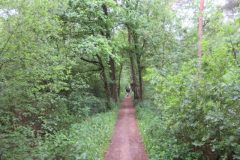 Wandelen rond Maarheeze