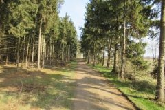 Wandelen rond Meijel