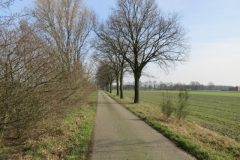 Wandelen rond Meijel