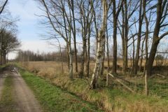 Wandelen rond Meijel