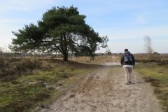 Wandelen rond Meijel
