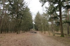 Wandelen rond Mierlo