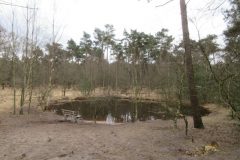 Wandelen rond Mierlo