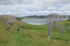 Wandelen rond Mimiwhangata