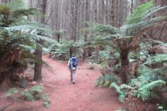 Wandelen rond Ngawaro
