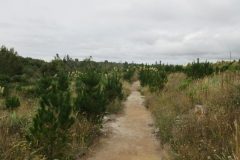 Wandelen rond Ngawaro