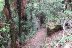 Wandelen rond Ngawaro
