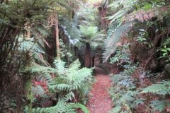 Wandelen rond Ngawaro