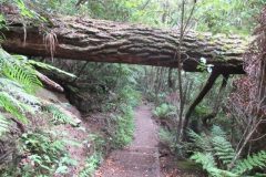 Wandelen rond Ngawaro