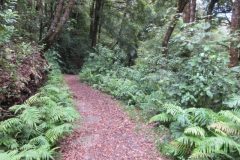 Wandelen rond Ngawaro