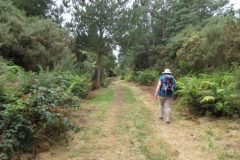 Wandelen rond Ngawaro