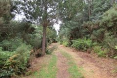 Wandelen rond Ngawaro
