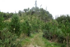 Wandelen rond Ngawaro