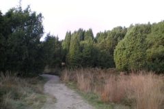 Wandelen rond Nieuw-Balinge