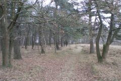 Wandelen rond Nieuw-Balinge