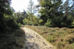 Wandelen rond Nieuw Milligen