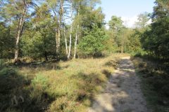 Wandelen rond Nieuw Milligen