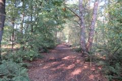 Wandelen rond De Ootmarsum