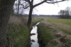 Wandelen rond Oud-Avereest