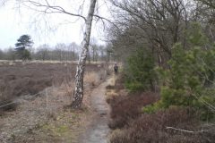 Wandelen rond Oud-Avereest