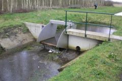 Wandelen rond Oud-Avereest