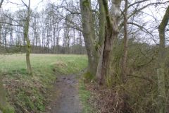 Wandelen rond Oud-Avereest