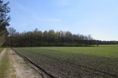 Wandelen rond Papenvoort